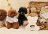 Happy birthday　エマちゃん「Anniversary photo　(^－^)」