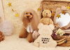 Happy birthday　咲良ちゃん「Anniversary photo　」