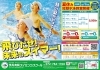 2023年 夏休み短期水泳教室「2023年 夏休み短期水泳教室のお知らせ」