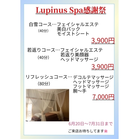「Lupinus Spa感謝祭
【和歌山市自宅サロン】
【肌質改善】
【メンズエステ】」