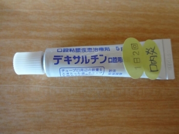 デキサルチン 口腔 用 軟膏 1mg g