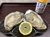 笹川流れ季節限定の天然岩がき「笹川流れ季節限定天然岩がき始めました。【笹川流れのおすすめのグルメは当店で　天ぴ屋】」