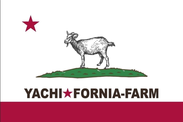 YACHI★FORNIA農園公国の国旗です！「コーヒーとヤギの伝説。YACHI★FORNIA農園公国の国旗の秘密？」