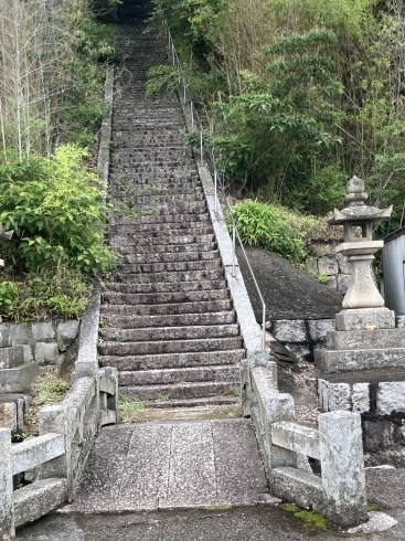 120段の石段を上ると梅園、神前神社⛩️「しおんのお庭」