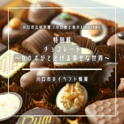 「特別展「チョコレート～カカオがとどける幸せな世界～」【川口市のイベント情報】」