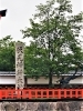 伏見稲荷大社「【編集部ニュース】京都･城下町伏見の『伏見稲荷大社の茅の輪(ちのわ)くぐり』を紹介します‼　＠京ちゃんの伏見ヒストリー日記 　」