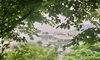 「6／29 小樽の古民家ゲストハウスより、おはようございます」