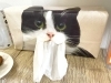 「お客さまにも人気の猫グッズたち(=^ェ^=) 氣功・整体・リーディング・ヒーリング」