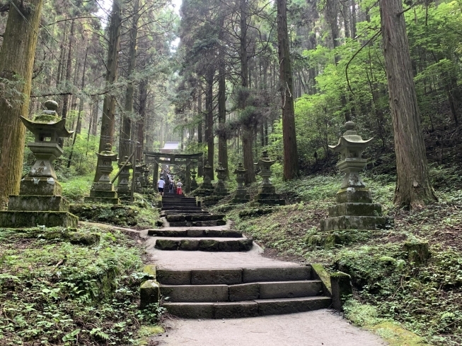 趣味の一つが神社仏閣巡りです。「まいぷれ糸島　掲載開始のご挨拶」