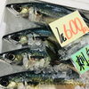 「魚魚市場鮮魚コーナーおすすめは「イサキ・クロムツ」です♪」