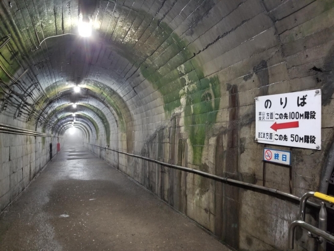 「全国でも珍しいトンネルの中にある駅！『筒石駅』の謎…！」