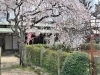 「【編集部ニュース】京都･城下町伏見の『長建寺(ちょうけんじ)』を紹介します‼　＠京ちゃんの伏見ヒストリー日記 　」