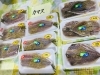 西海物産館 魚魚市場鮮魚コーナーおすすめは ノドグロ ホタテ 入荷しました 魚魚の宿のニュース まいぷれ 佐世保