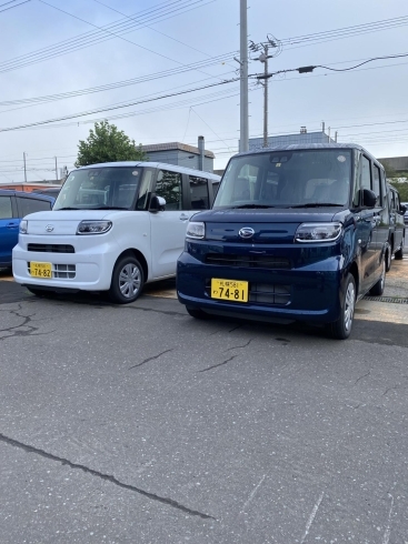 新車軽自動車マイカーリース フラット7 フラット7千歳店 新車中古車販売 愛車買取 下取 スターオート千歳店 北海道 千歳市 南千歳 新千歳空港 千歳駅 格安レンタカー 市内最寄ホテル 無料送迎有 ニコニコレンタカー千歳東雲町店 スターオート千歳店のニュース 新車軽自動車マイカーリース フラット7 フラット7千歳店 新車中古車販売 愛車買取 下取 スターオート千歳店 北海道 千歳市 南千歳 新千歳空港 千歳駅 格安レンタカー 市内最寄ホテル 無料送迎有 ニコニコレンタカー千歳東雲町店 スターオート千歳店のニュース