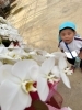 「佐世保花園へ」