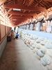三十一日神社「2024年明けましたね🎍✨」