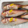 「魚魚市場鮮魚コーナーおすすめ商品は「イサキ・ヒラアジ」です♪」