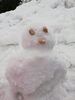 「子ども達の初雪遊び(*´ω｀*)」