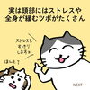 「身体だけじゃなく心まで軽くなる！猫丸ドライヘッドスパでストレスさよなら（=^ェ^=) 整体・オイル・リーディング・占い・顔そり・氣功」