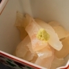 酢物　鯛の昆布締め
