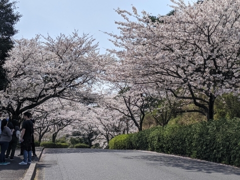 斐川公園