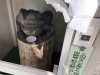 星置神社 ぷち 紹介 札幌手稲区 秋のおでかけ 観光スポット19 まいぷれ 札幌市手稲区