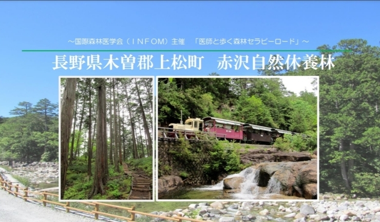 「医師と歩く森林セラピーロード」開催のお知らせ【上松町観光情報】」