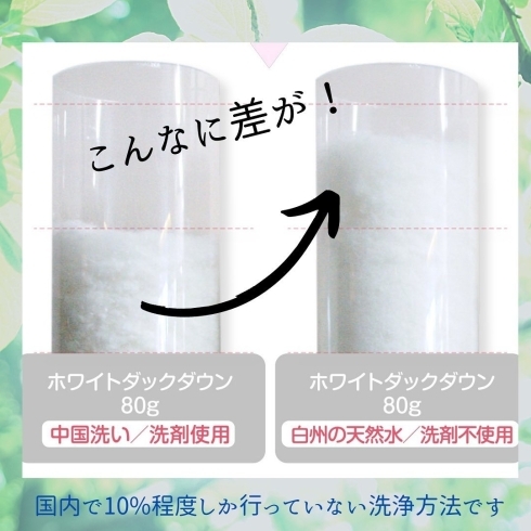 「皆様こんばんは！【岩手県で布団・枕を購入するなら、やよいリビング】」