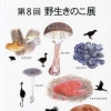 「野生きのこ展」好評につき、植物公園で６回目の開催！