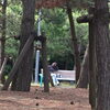 幕張公園でひと休みの女探偵M。「今日は前橋に帰ります。創業平成7年、『調査の青葉グループ、探偵歴13年の女探偵が代表のbe-スマイル女性探偵社は貴女の見方です。群馬-高崎・前橋　茨城-つくば・土浦　千葉-松戸・柏　埼玉-熊谷・上尾　栃木-佐野・足利　相談無料　女性目線の探」