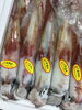 「魚魚市場鮮魚コーナーおすすめは「ヤリイカ」です♪」
