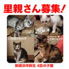 「【新居浜市萩生】里親募集情報のお知らせ！」