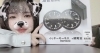 備品「新しく空調服 届いた！！」
