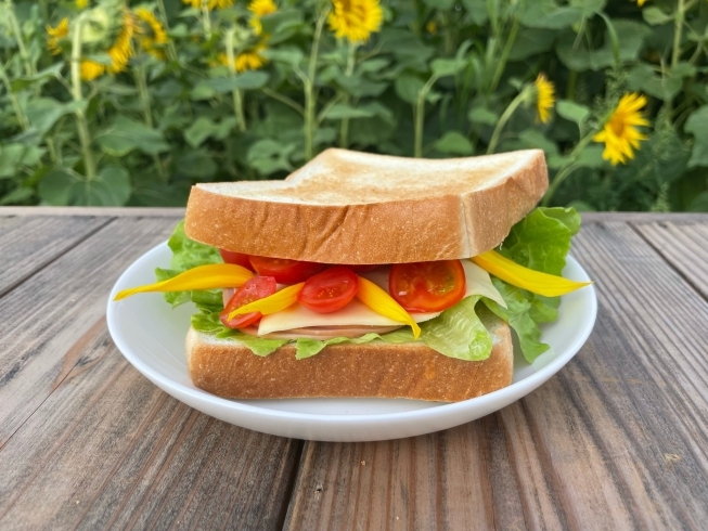 体験ランチのサンドイッチ例「夏野菜狩り＆体験ランチ90分!体験は重要な調味料です!」