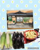 「「夏野菜」」