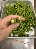 「伏見とうがらし」