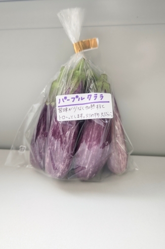 天ぷらや炒め物に最適です♪「パープルクララ 紫 小さい 可愛い 茄子 加熱向き 就労 B型 農業 えがお 四国中央」