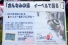 第２８回 かんなみ猫おどりｉｎ狩野川 ２０１５年８月１日 土 まいぷれ三島編集部 三島市 函南町 長泉町 清水町のイベントレポート まいぷれ 三島