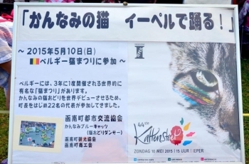 第２８回 かんなみ猫おどりｉｎ狩野川 ２０１５年８月１日 土 まいぷれ三島編集部 三島市 函南町 長泉町 清水町のイベントレポート まいぷれ 三島