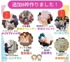 「【みらふれ情報】8枠追加❗残り7人❗」
