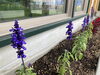 花壇「TOMASEI柳町社屋 花壇」