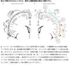 ホムンクルスの新しい概念「新しい知識」
