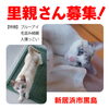 「【新居浜市】里親募集のお知らせ！」