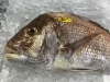 「魚魚市場鮮魚コーナーおすすめは「大鯛」です♪」