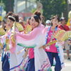 おどるんや ～第12回 紀州よさこい祭り～