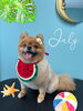 「お友達♡ Dog salon mofu mofu 余市町」