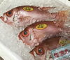 「魚魚市場鮮魚コーナーおすすめは「チカメキントキ」です♪」