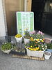 外にはいつも綺麗なお花が咲く様に努めています。「こんにちわ‼️彩晃ホームです😊」