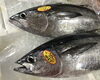 「魚魚市場鮮魚コーナーおすすめは「コシナガマグロ」です♪」