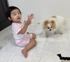 「　小学生6年英語クラス  中1英語クラス　生徒募集！」
